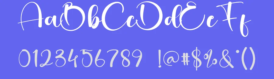 Saturday Calligraphy Script Font by creativeletter — Script Handwritten Font — thumbnail 3