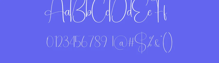 Saturday Calligraphy Typeface by creativeletter — Script Handwritten Font — thumbnail 3