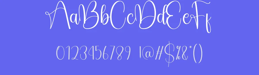 Saturday Calligraphy Typeface by creativeletter — Script Handwritten Font — thumbnail 3