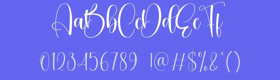 Saturday Script Typeface by creativeletter — Script Handwritten Font — thumbnail 3