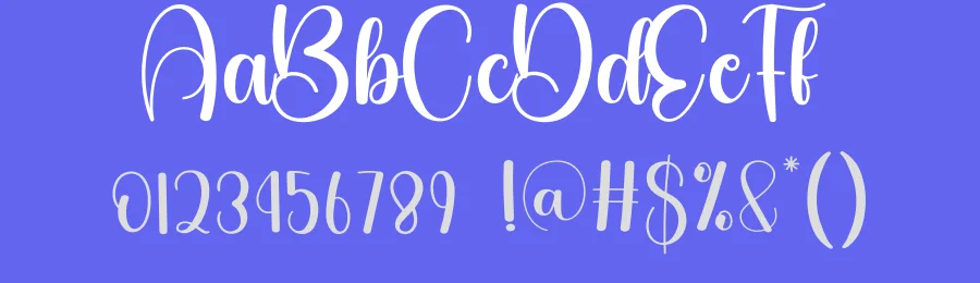 Saturday Script Typeface by creativeletter — Script Handwritten Font — thumbnail 3