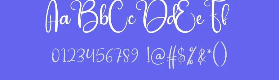 Saturday Wedding Script Font by andikastudio — Script Handwritten Font — thumbnail 3
