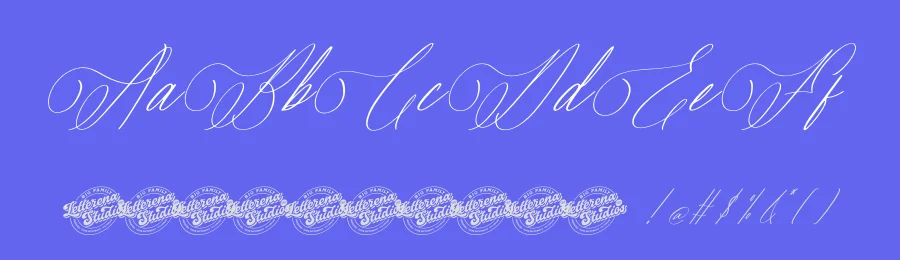 Savanah Glamour Font by letterenastudios — Script Handwritten Font — thumbnail 3