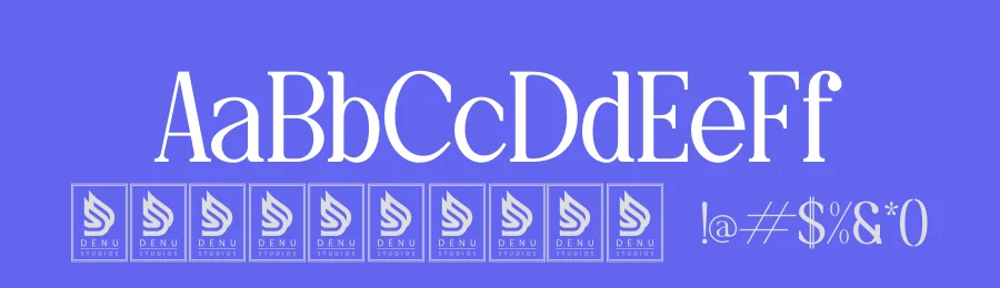 Save Bright Font by Denustudios — Serif Font — thumbnail 3