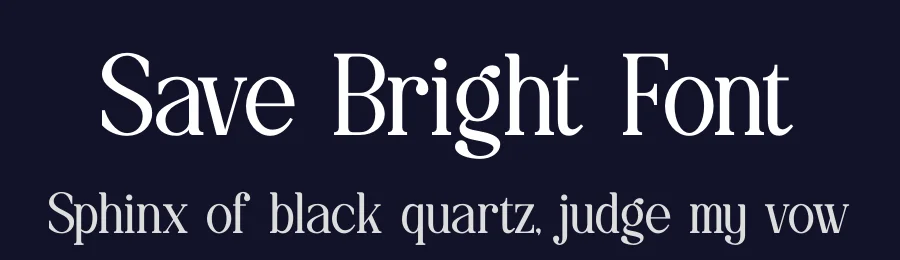 Save Bright Font by Denustudios — Serif Font — thumbnail 2