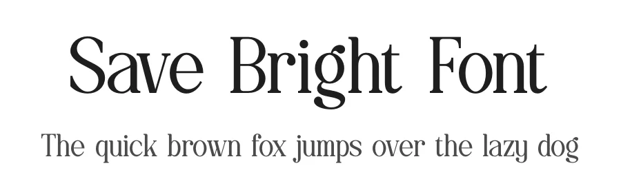 Save Bright Font by Denustudios — Serif Font