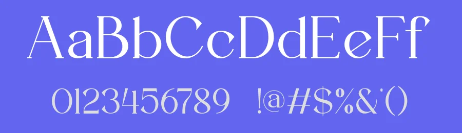 Sayora Serif Font by ErmediaStudio — Serif Font — thumbnail 3