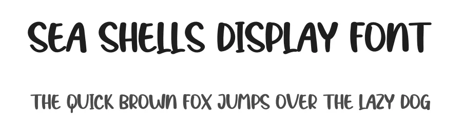 Sea Shells Display Font by creativeletter — Display Font