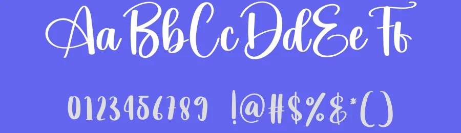 Seabird Script Font by creativeletter — Script Handwritten Font — thumbnail 3