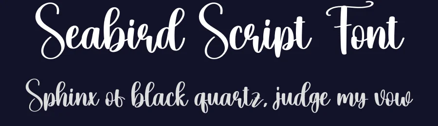 Seabird Script Font by creativeletter — Script Handwritten Font — thumbnail 2