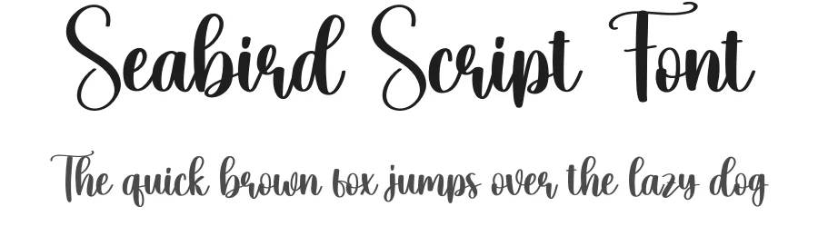 Seabird Script Font by creativeletter — Script Handwritten Font