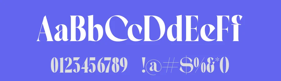 Seafibe Font by timelesstype.co — Serif Font — thumbnail 3