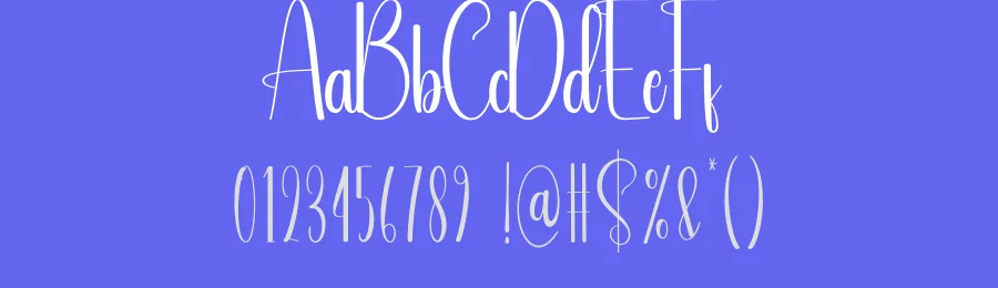 Seagull Display Font by creativeletter — Script Handwritten Font — thumbnail 3