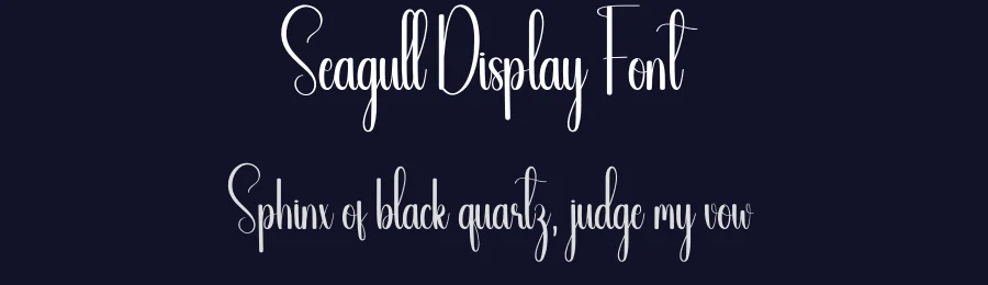 Seagull Display Font by creativeletter — Script Handwritten Font — thumbnail 2