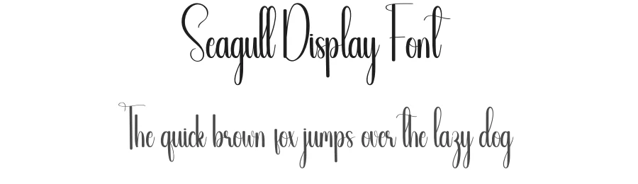 Seagull Display Font by creativeletter — Script Handwritten Font