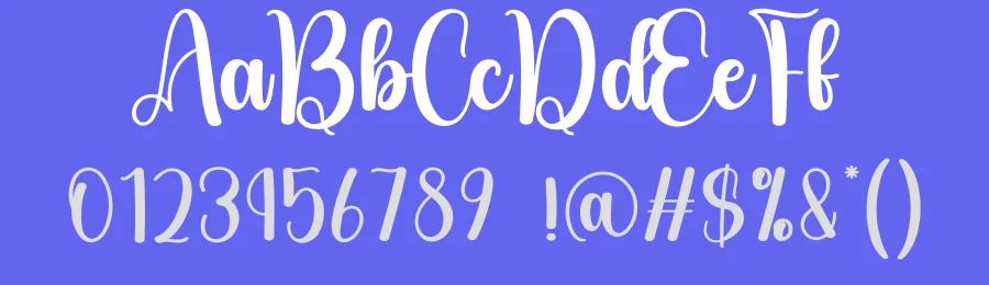 Seagull Script Font by andikastudio — Script Handwritten Font — thumbnail 3