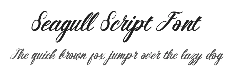 Seagull Script Font by 178-MC — Script Handwritten Font