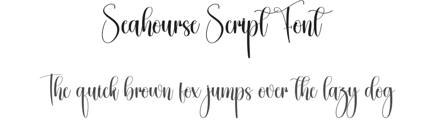 Seahourse Script Font by creativeletter — Script Handwritten Font