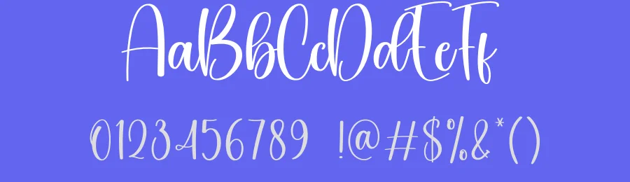 Seashell Script Font by creativeletter — Script Handwritten Font — thumbnail 3