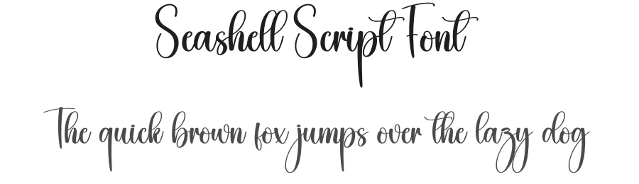 Seashell Script Font by creativeletter — Script Handwritten Font
