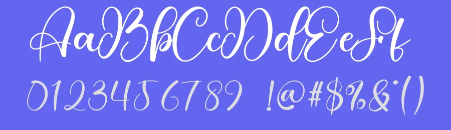 Seasoning Calligraphy Font by creativeletter — Script Handwritten Font — thumbnail 3