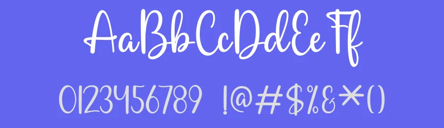 Secania Font by DN Creative — Script Handwritten Font — thumbnail 3