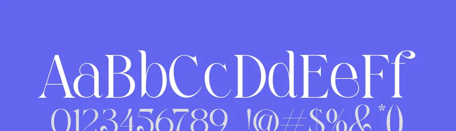 Sefilla Font by roomspace.cl — Serif Font — thumbnail 3