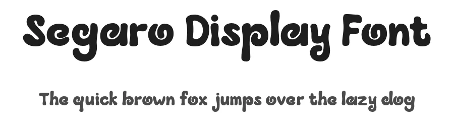 Segaro Display Font by Artisan Themes — Display Font