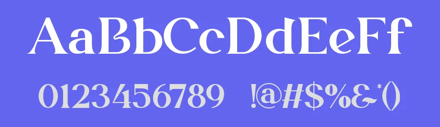 Seira || Modern Elegant Serif Font by ErmediaStudio — Display Font — thumbnail 3