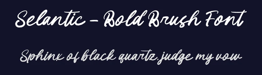 Selantic – Bold Brush Font by letterenastudios — Script Handwritten Font — thumbnail 2
