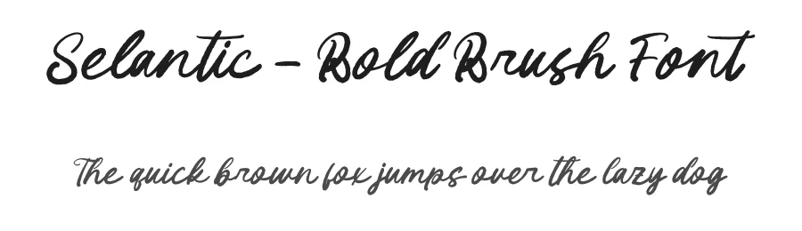 Selantic – Bold Brush Font by letterenastudios — Script Handwritten Font
