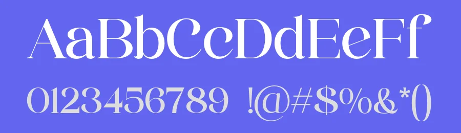 Selasy Font by roomspace.cl — Serif Font — thumbnail 3