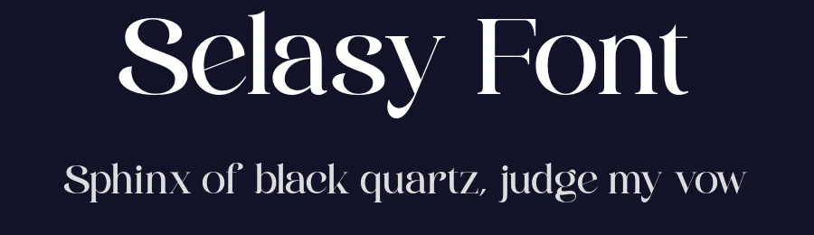 Selasy Font by roomspace.cl — Serif Font — thumbnail 2