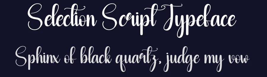 Selection Script Typeface by andikastudio — Script Handwritten Font — thumbnail 2
