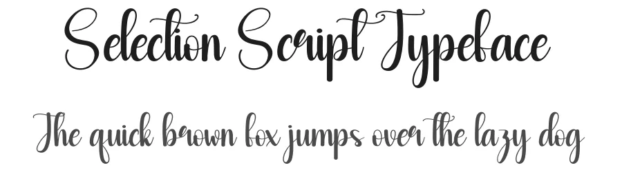 Selection Script Typeface by andikastudio — Script Handwritten Font