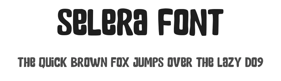 Selera Font by Flawless And Co — Display Font