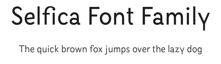 Selfica Font Family by Nootype — Sans Serif Font