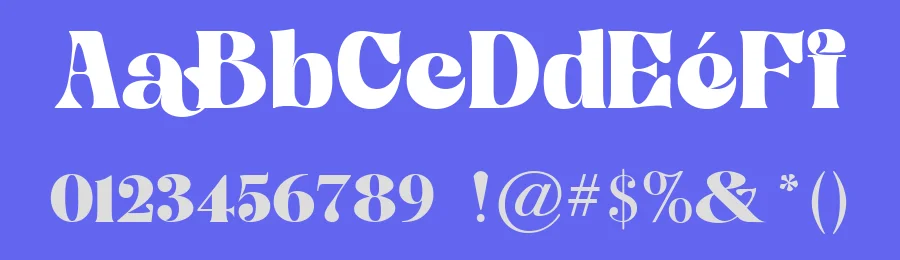 Selga Font by mixjpg — Decorative Font — thumbnail 3