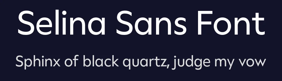 Selina Sans Font by Leandro Ramos — Sans Serif Font — thumbnail 2