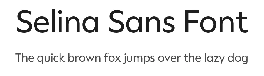 Selina Sans Font by Leandro Ramos — Sans Serif Font