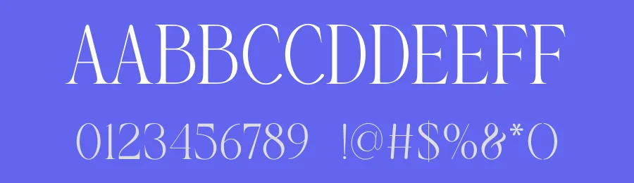 Seliya Gadner Font by SURATMI — Serif Font — thumbnail 3