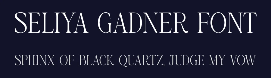 Seliya Gadner Font by SURATMI — Serif Font — thumbnail 2