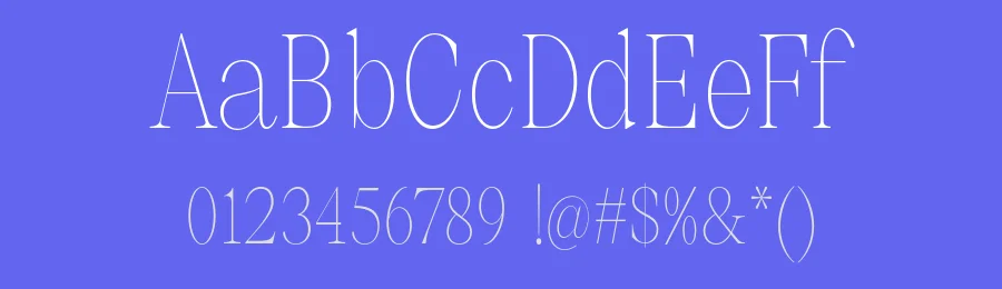 Selnora Font Family by Nia Typework — Serif Font — thumbnail 3