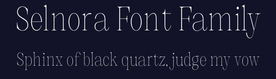 Selnora Font Family by Nia Typework — Serif Font — thumbnail 2