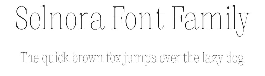 Selnora Font Family by Nia Typework — Serif Font