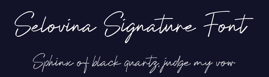 Selovina Signature Font by Funtype — Script Handwritten Font — thumbnail 2