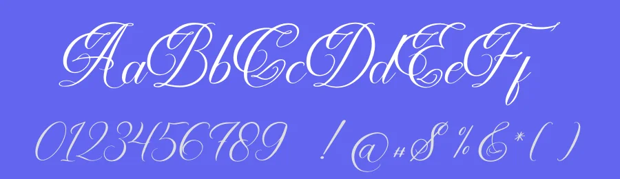 Selviary Font by Denustudios — Script Handwritten Font — thumbnail 3