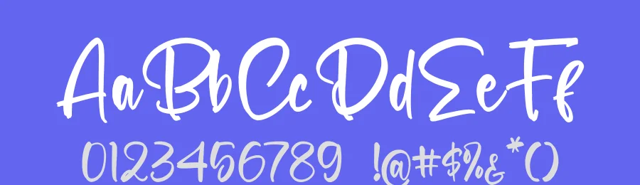 Selynadia Font by stylishtype.co — Script Handwritten Font — thumbnail 3