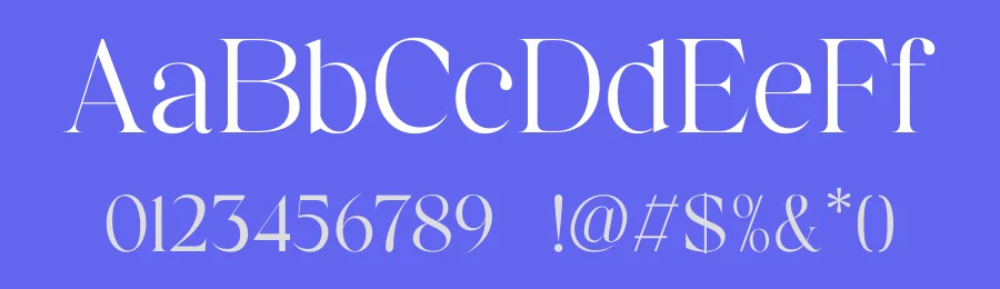 Sengone Font by TypeLogue — Serif Font — thumbnail 3