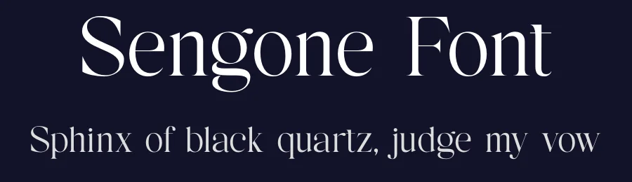 Sengone Font by TypeLogue — Serif Font — thumbnail 2